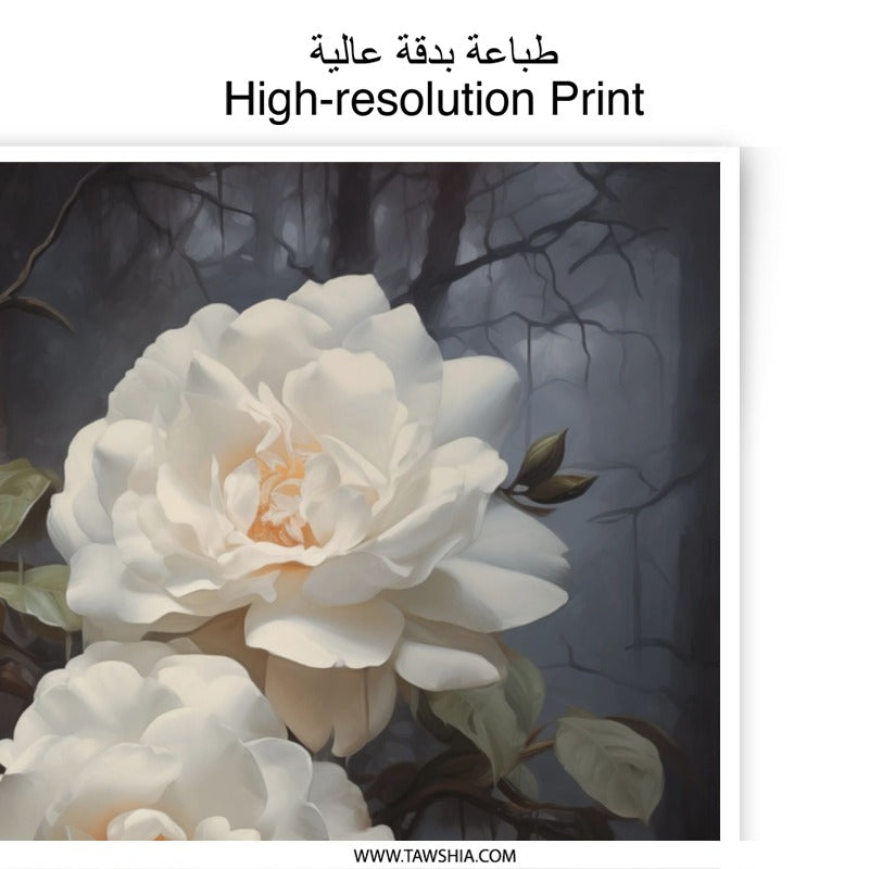 White Rose Photographic Print, Floral Art, Flower Photography, Nature Print, Botanical Art, Wall Decor, Home Decor (138 characters) - Tawshia