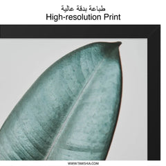 Rubber Plant Wall Art, Ficus Elastica Print, Botanical Home Decor, Modern Nature Wall Decor, Large Leaf Photography, Minimalist Art - Tawshia