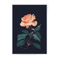 Peach Rose Photographic Print, Floral Art Print, Botanical Wall Art, Dark Background, Home Decor, Fine Art Print, Gift Idea - Tawshia
