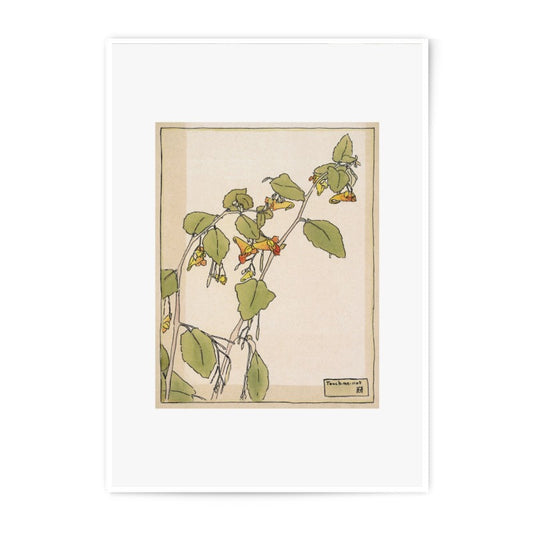 Jewelweed Photographic Print, Vintage Botanical Art, Touch Me Not Flower, Floral Wall Decor, Home Decor Gift, Nature Print - Tawshia