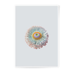 Daisy Flower Photographic Prints, Botanical Wall Art, Floral Photo Print, Nature Photography, Fine Art Print, Home Decor, Gift Idea - Tawshia