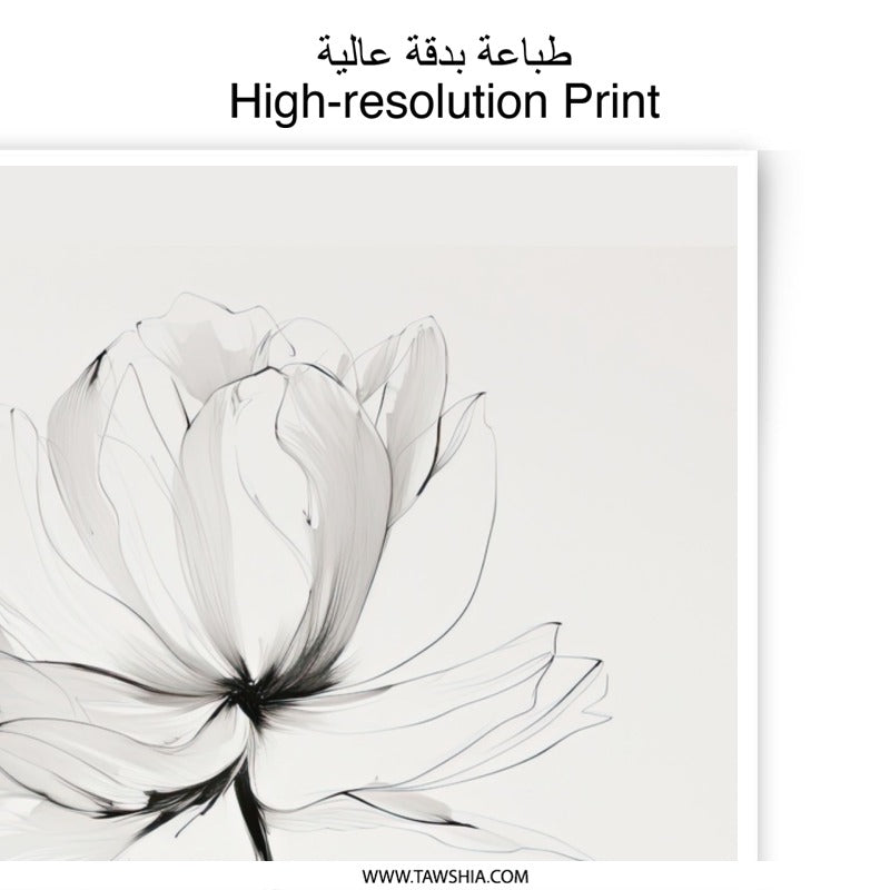 Minimalist Flower Photographic Print, Botanical Art, Floral Wall Decor, Neutral Home Decor, Modern Art Print, Flower Print - Tawshia