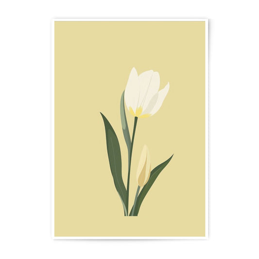 White Tulip Photographic Print, Floral Wall Art, Botanical Illustration, Minimalist Home Decor, Elegant Flower Print, Nature Inspired Art - Tawshia