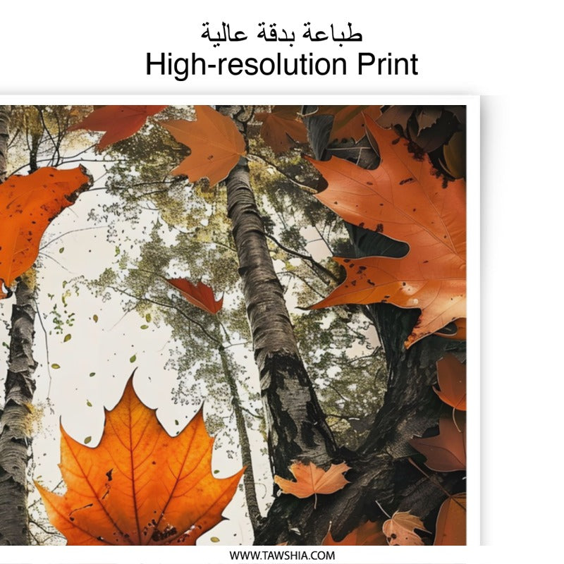 Autumn Leaves Photographic Print, Fall Season Wall Decor, Vibrant Leaf Art, Nature Photography, Seasonal Decor, Home Decor - Tawshia
