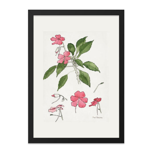 Watercolor Flower Wall Art, Sultana Plant Illustration, Botanical Print, Floral Home Decor, Pink Flower Wall Decor, Nature Wall Hanging - Tawshia