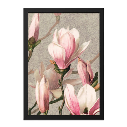 Pink Magnolia Wall Art, Floral Botanical Print, Elegant Home Decor, Blossom Flower Artwork, Vintage Inspired Painting - Tawshia