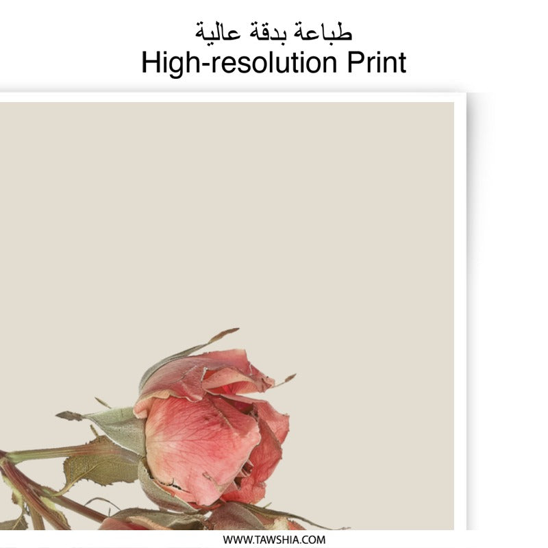 Rose Photographic Prints, Floral Wall Art, Botanical Print, Home Decor, Flower Photography, Dried Roses, Delicate Art Print, Rose Wall Decor - Tawshia