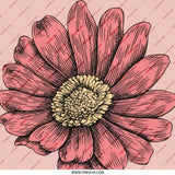 Pink Daisy Pinback Button, Floral Button, Flower Pinback Button, Botanical Button, Cute Button, Aesthetic Button, Gift Idea - Tawshia