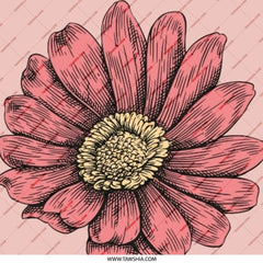 Pink Daisy Pinback Button, Floral Button, Flower Pinback Button, Botanical Button, Cute Button, Aesthetic Button, Gift Idea - Tawshia