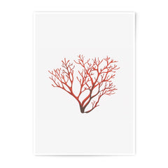 Red Coral Photographic Print, Minimalist Wall Art, Nature Inspired Home Decor, Nautical Decor, Coastal Living, Ocean Art - Tawshia