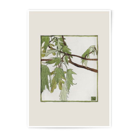 Maple Leaves Photographic Print, Botanical Art, Nature Wall Decor, Green Leaves Illustration, Tree Branch Artwork, Home Decor - Tawshia