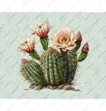 Beautiful Blooming Cactus with Flowers Artistic product