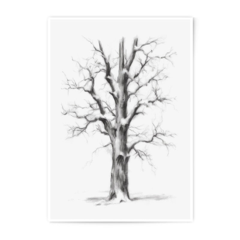 Winter Tree Photographic Print, Charcoal Drawing, Bare Tree Art, Minimalist Wall Decor, Nature Inspired Art Print, Snow Tree Print - Tawshia