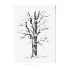 Winter Tree Photographic Print, Charcoal Drawing, Bare Tree Art, Minimalist Wall Decor, Nature Inspired Art Print, Snow Tree Print - Tawshia