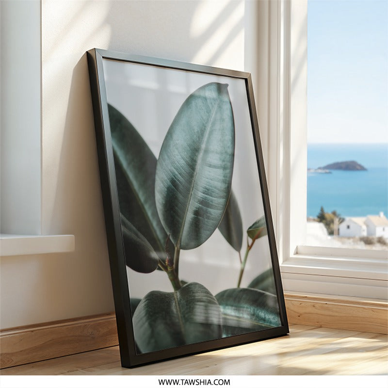Rubber Plant Wall Art, Ficus Elastica Print, Botanical Home Decor, Modern Nature Wall Decor, Large Leaf Photography, Minimalist Art - Tawshia