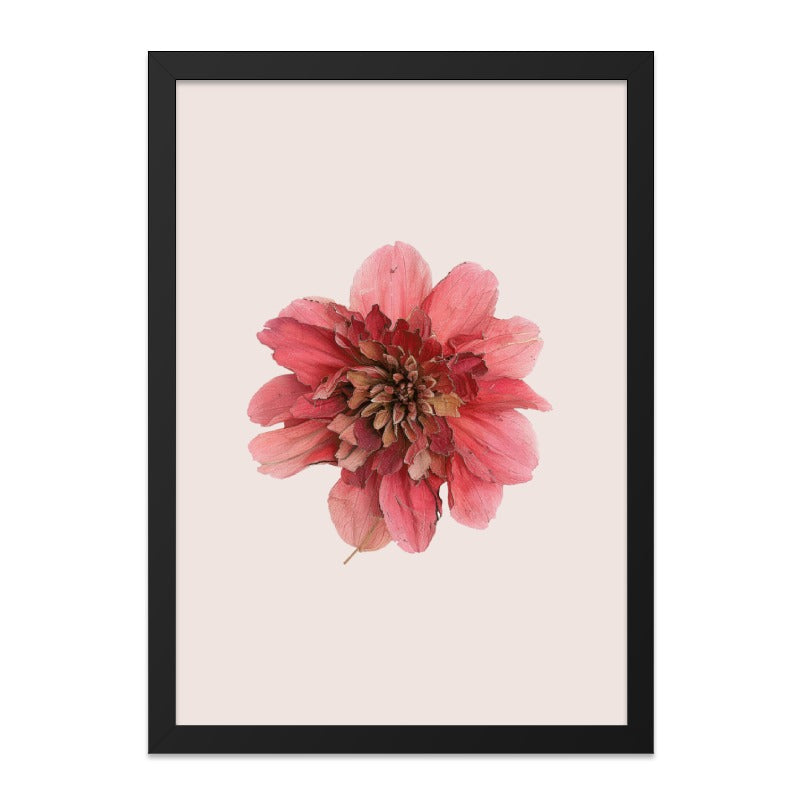 Pink Dahlia Flower Wall Art, Botanical Print, Floral Home Decor, Minimalist Art, Modern Wall Art, Contemporary Art, Nature Inspired Art - Tawshia