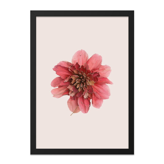 Pink Dahlia Flower Wall Art, Botanical Print, Floral Home Decor, Minimalist Art, Modern Wall Art, Contemporary Art, Nature Inspired Art - Tawshia
