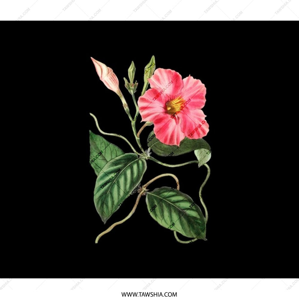 Mandevilla Flower Backpack, Pink Bloom Rucksack, Floral Botanical Knapsack, Nature Lover Bag, Trending Stylish Backpack - Tawshia