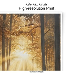 Golden Forest Photographic Print, Sunlight Reflection Art, Nature Wall Decor, Landscape Photography, Home Decor, Gift Idea - Tawshia
