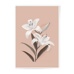 Lily Flower Photographic Print, Floral Wall Art, Botanical Art Print, Flower Photography, Home Decor, Elegant Art, Living Room Decor - Tawshia