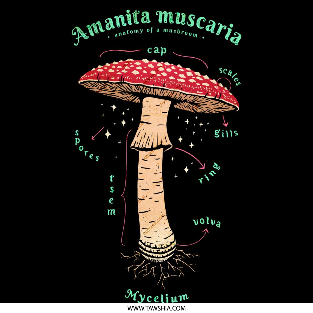Amanita Muscaria Mushroom Anatomy Poster product