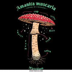 Amanita Muscaria Mushroom Anatomy Poster product