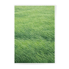 Lush Green Field Photographic Prints, Abstract Landscape Art, Nature Photography Wall Decor, Modern Fine Art Print, Home Office Artwork - Tawshia