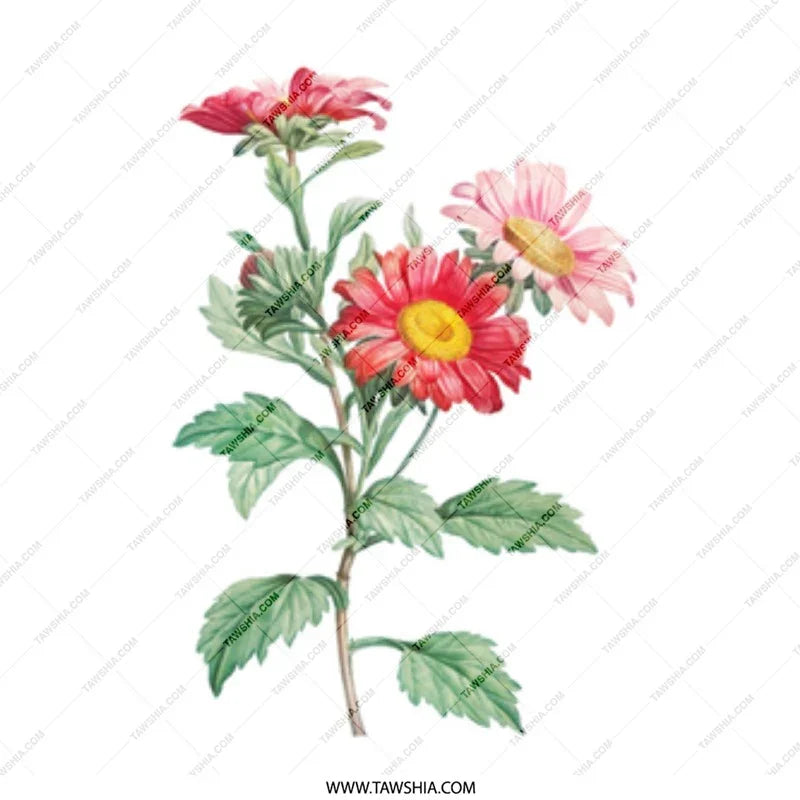 Floral Mug, Aster Flower Mug, Botanical Mug, Vintage Flower Mug, Flower Lover Gift, Plant Mug, Floral Gifts, Nature Mug, Garden Mug - Tawshia