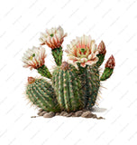 Beautiful Blooming Cactus Art Print Home Decor product type