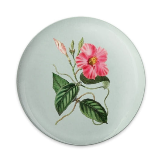 Pink Allamanda Flower Pinback Button, Vintage Floral Button, Botanical Art Button, Garden Lover Gift, Tropical Flower Pin, Floral Accessory - Tawshia