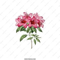 Floral Pillow, Azalea Pillow, Botanical Throw Pillow, Pink Flower Pillow, Home Decor Pillow, Accent Pillow, Garden Pillow - Tawshia