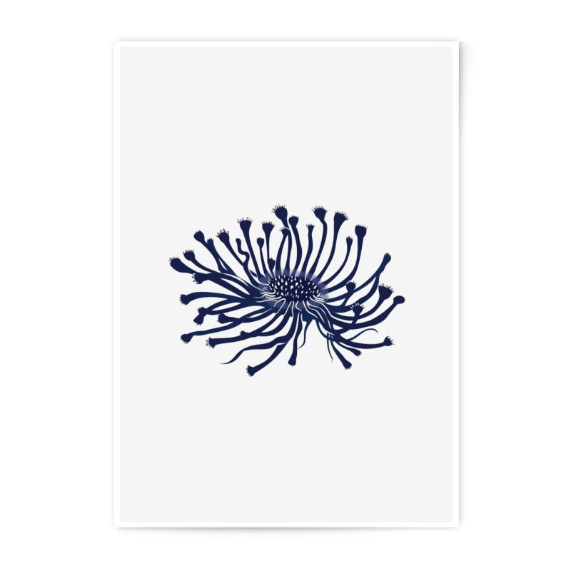 Blue Anemone Flower Photographic Print, Unique Floral Art, Modern Home Decor, Minimalist Wall Art, Nature Inspired Gift - Tawshia
