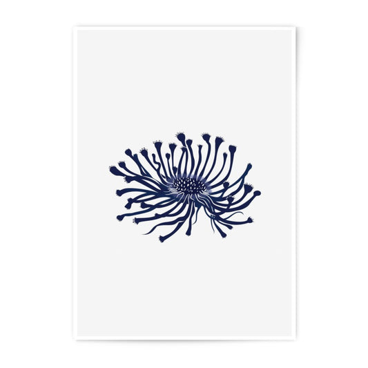 Blue Anemone Flower Photographic Print, Unique Floral Art, Modern Home Decor, Minimalist Wall Art, Nature Inspired Gift - Tawshia