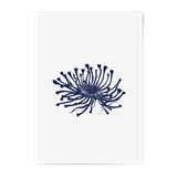 Blue Anemone Flower Photographic Print, Unique Floral Art, Modern Home Decor, Minimalist Wall Art, Nature Inspired Gift - Tawshia