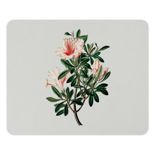 Floral Mouse Pad, Botanical Illustration, Vintage Flower Art, Desk Decor, Rhododendron Print, Unique Mousepad, Office Gift - Tawshia