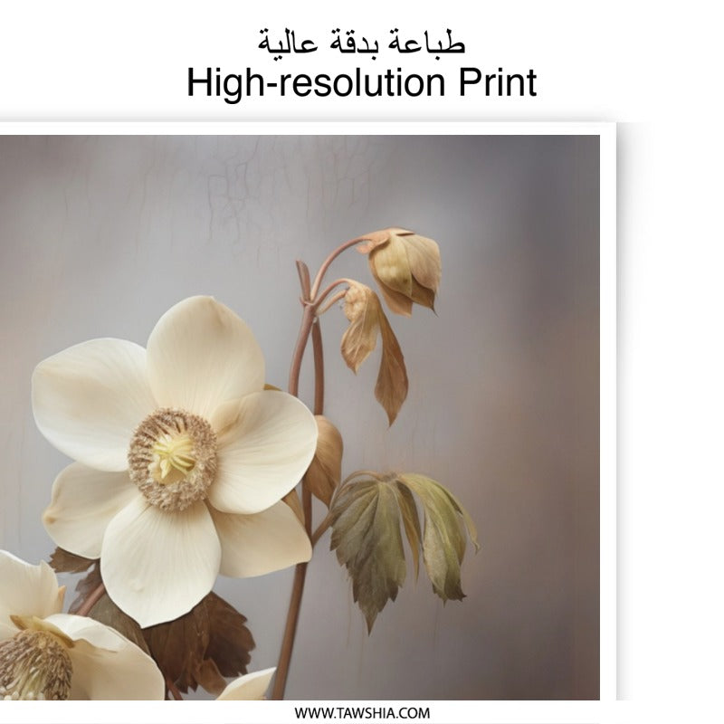 Hellebore Photographic Print, Floral Wall Art, Botanical Photography, Flower Art Print, Nature Photography, Home Decor, Wall Decor - Tawshia