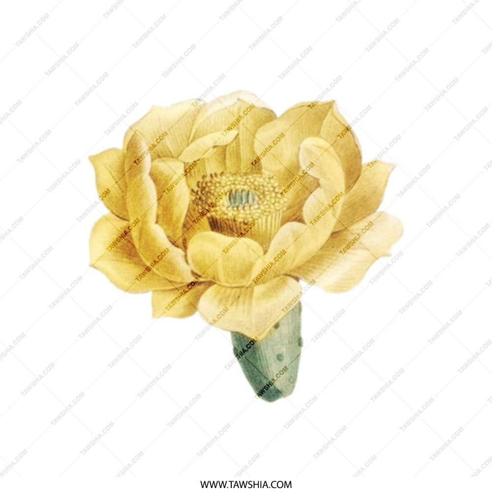 Desert Bloom Tote Bag, Yellow Flower Design, Botanical Illustration, Unique Shopping Bag, Everyday Bag, Stylish Tote - Tawshia