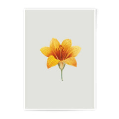 Yellow Lily Photographic Prints, Floral Wall Art, Botanical Home Decor, Modern Art Prints, Flower Print for Wall, Unique Gifts - Tawshia