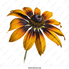 Black Eyed Susan Mug, Floral Mug, Flower Coffee Cup, Sunflower Mug, Botanical Gift, Nature Lover Gift, Plant Lover Mug, Flower Design Mug - Tawshia