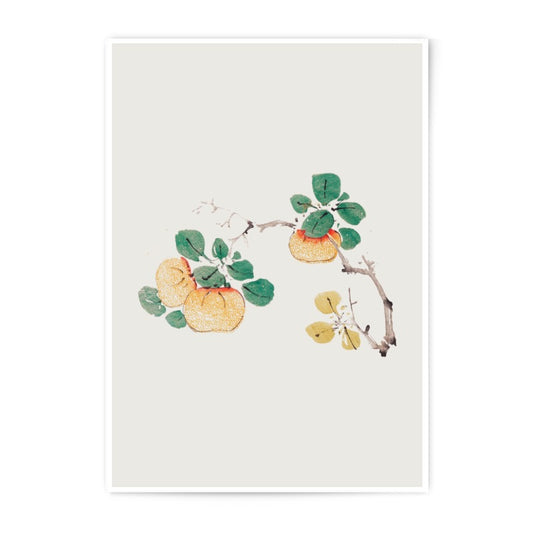 Persimmon Photographic Print, Asian Art Print, Japanese Print, Fruit Branch Wall Decor, Botanical Illustration, Nature Photography, Fine Art - Tawshia