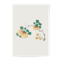 Persimmon Photographic Print, Asian Art Print, Japanese Print, Fruit Branch Wall Decor, Botanical Illustration, Nature Photography, Fine Art - Tawshia