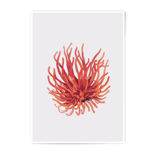 Sea Anemone Photographic Print, Coral Reef Art, Ocean Life Wall Decor, Marine Biology Gift, Coastal Home, Modern Art Print, Home Decor - Tawshia