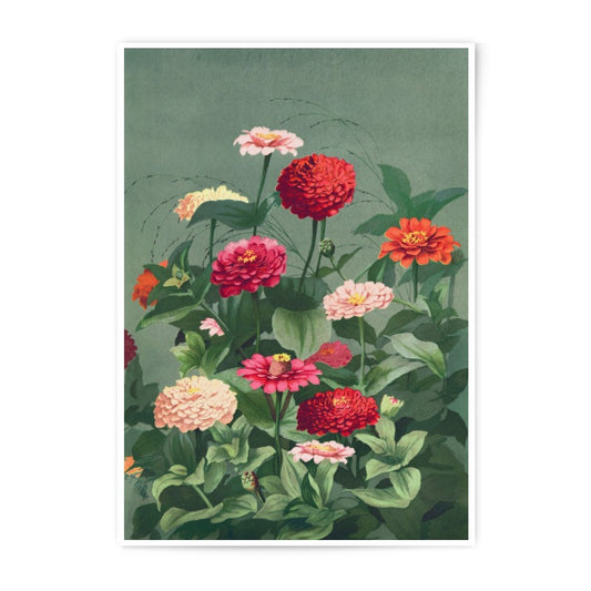 Zinnia Flowers Photographic Print, Botanical Art Print, Vintage Flower Art, Floral Photography, Home Decor, Wall Art, Colorful Zinnias - Tawshia