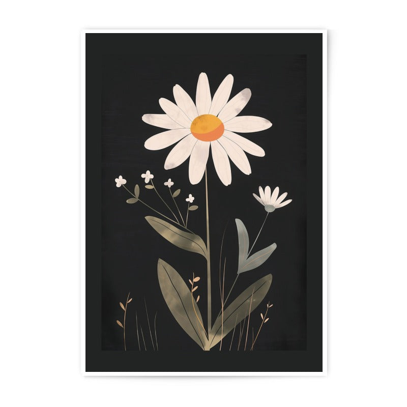 Daisy Photographic Print, Floral Wall Decor, Botanical Art Print, Flower Photo, Home Decor, Black Background, Modern Art, Minimalist Design - Tawshia