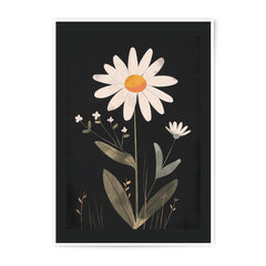 Daisy Photographic Print, Floral Wall Decor, Botanical Art Print, Flower Photo, Home Decor, Black Background, Modern Art, Minimalist Design - Tawshia