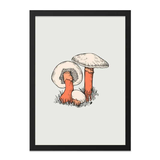 Mushroom Wall Art Print, Fungi Illustration, Kitchen Decor, Botanical Art, Nature Print, Mushroom Decor, Foraging Art, Forest Wall Decor - Tawshia