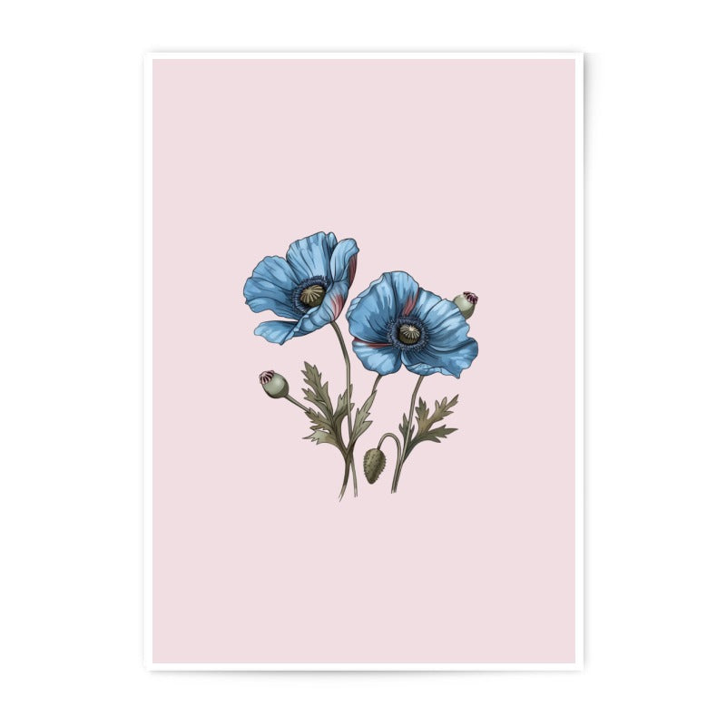 Blue Poppy Photographic Prints, Floral Wall Art, Botanical Decor, Flower Prints, Home Decor, Wall Decor, Unique Gift, Fine Art Prints - Tawshia