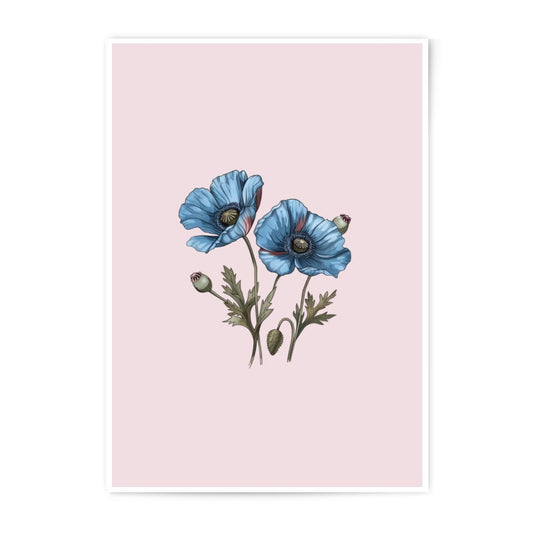Blue Poppy Photographic Prints, Floral Wall Art, Botanical Decor, Flower Prints, Home Decor, Wall Decor, Unique Gift, Fine Art Prints - Tawshia