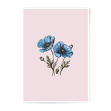 Blue Poppy Photographic Prints, Floral Wall Art, Botanical Decor, Flower Prints, Home Decor, Wall Decor, Unique Gift, Fine Art Prints - Tawshia