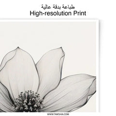 Floral Photographic Print, Black and White Flower Art, Elegant Botanical Decor, Modern Home Art, Fine Line Flower, Minimalist Art Print - Tawshia
